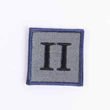 2 Ranger Regiment TRF Hook and Loop Badge