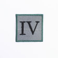 4 Ranger Regiment TRF Sew on Badge
