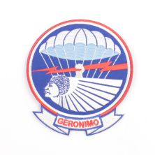 501st Parachute Infantry Patch (101st Airborne Division)