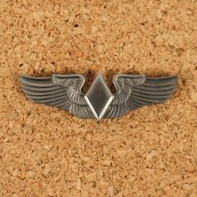 US Army WASP Womens Army Service Pilots Wings