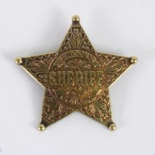 Lincoln County Sheriff star badge