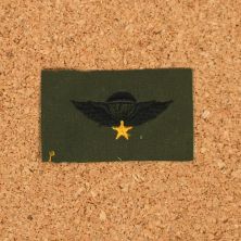 SVN Para Wings South Vietnam Parachute Jump Wings Subdued