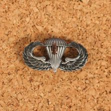 US Para Wings with D Day Arrow Head Jump Award