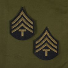 Technician 4th Grade Rank Stripes. Green on Blue.