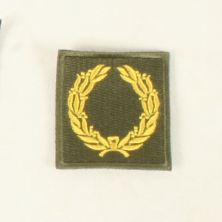 US Army WW2 Merit service unit badge