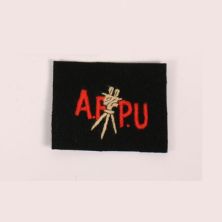 Army Film and Photograph Unit AFPU Patch