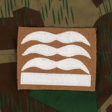 Luftwaffe Combat Rank Hauptmann Tan