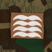 Luftwaffe Combat Rank Oberfeldwebel Tan