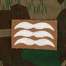 Luftwaffe Combat Rank Feldwebel Tan