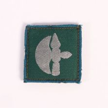 102 Logistics Brigade TRF Hook and loop