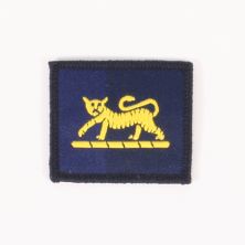 PWRR Tiger patch