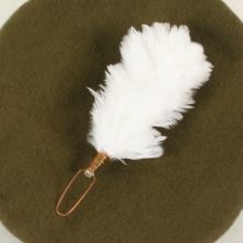 Royal Welsh Hackle