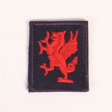 1 Royal Welsh TRF. Sew On. Colour