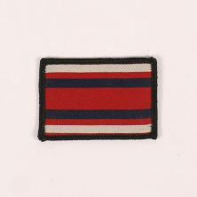 Army Nursing corps QARANC TRF