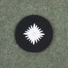 SS Oberschutze Sleeve Rank Star