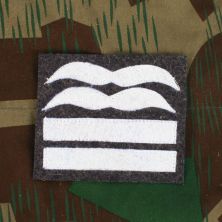 Luftwaffe Combat Rank Patch Oberstleutnant