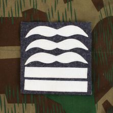 Luftwaffe Combat Rank Patch Oberst