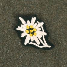 Army Gebirgsager Edelweiss Cap Badge Cloth