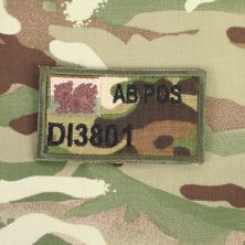 Zap Badge Multicam Welsh Flag