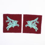 BE404 Pegasus Division Badges