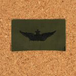 AB720 US Army Senior Aviator Wings