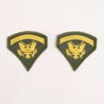 AB739 US Army Specialist 5 Rank Gold on Green Pair