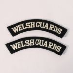 BE528 Welsh Guards