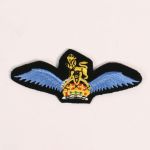 BE618 Glider pilot wings