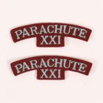 BE926 21st Pathfinder Shoulder Titles