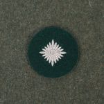 DL108 M36 Army Oberschutze Sleeve Star Rank