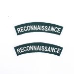 BE870 Reconnaissance Corp Shoulder Titles