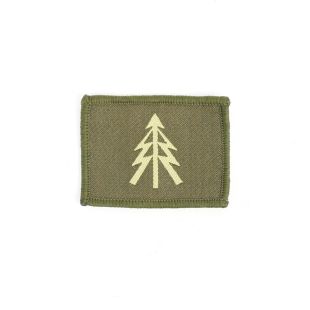 1st The Queens Dragoon Guards QDG TRF Sew On Green