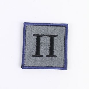 2 Ranger Regiment TRF Hook and Loop Badge