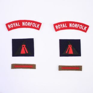 7th Royal Norfolk Reg, 59th Staffs Div Badge Set