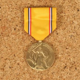 American Defence Medal. Full size medal.