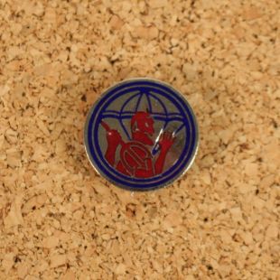 US 504th Parachute Infantry Regiment P.I.R. DI pin badge