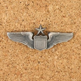 USAF / USAAF Senior Pilots Wing.