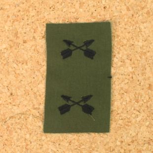 Special Forces Officer Branch of Service Cloth Subdued