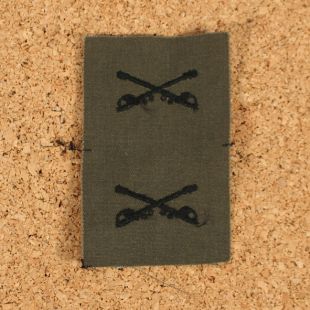 US Air Cavalry Officers Branch of Service. Subdued Cloth