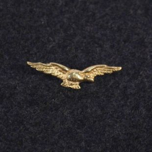 RAF Royal Air Force Pathfinder Badge
