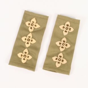 Captain Rank Slides Green