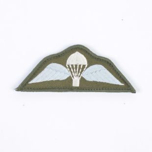 British Para Wings Colour. Hook and loop