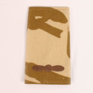 RAF Desert Rank Slides Leading Aircraftman LAC