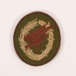 2 Para Eagle badge