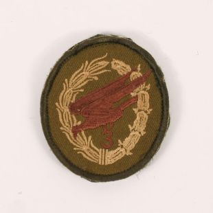 3 Para Eagle badge