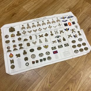 Her Majesty's Army Rank and skill at arms wall chart Original 