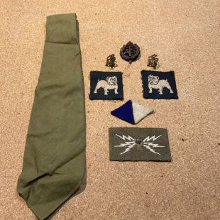 ATS  Signals Badge set Eastern command (Original)