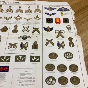 Her Majesty's Army Rank and skill at arms wall chart Original 
