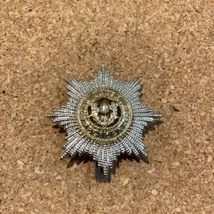 Cheshire Regiment Staybright Cap Badge
