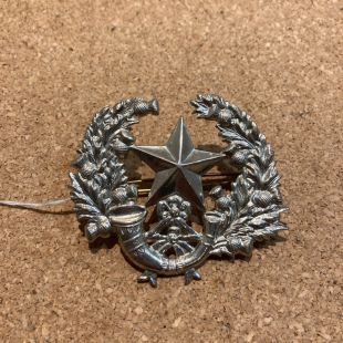 The Cameronians ( Scottish Rifles) 